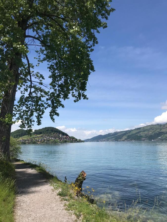Moderne Unterkunft mit Panoramablick auf Thunersee Krattigen Exterior foto